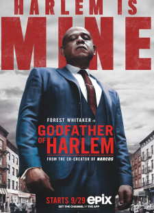 دانلود زیرنویس فارسی  سریال 2020 Godfather of Harlem