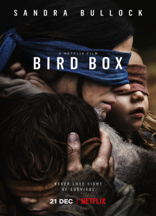 دانلود زیرنویس فارسی  فیلم 2018 Bird Box